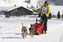 Lenk 2012 SM